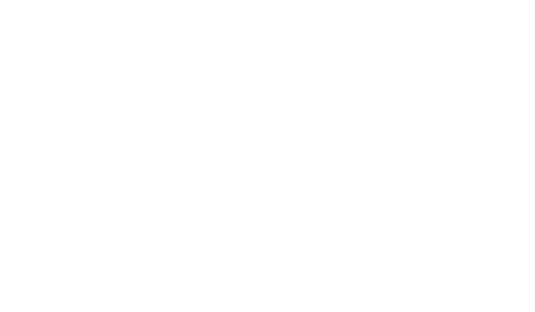 David Logo - Platinum Sponsor