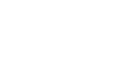 Precision Chiropractic Logo